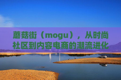 蘑菇街（mogu），从时尚社区到内容电商的潮流进化史，蘑菇街，从时尚社区到内容电商的潮流进化史