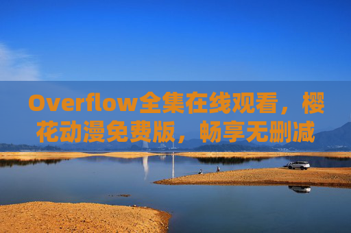 Overflow全集在线观看，樱花动漫免费版，畅享无删减剧情，樱花动漫免费观看，全集无删减Overflow在线畅享