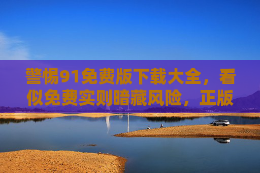 警惕91免费版下载大全，看似免费实则暗藏风险，正版渠道才是安全之选，警惕91免费版下载大全，免费背后藏风险，正版渠道保安全