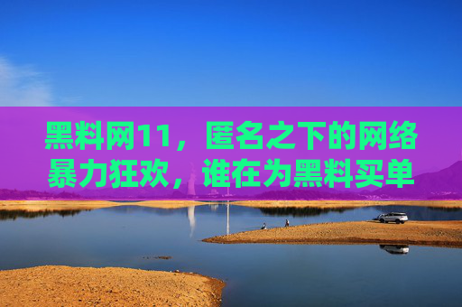 黑料网11，匿名之下的网络暴力狂欢，谁在为黑料买单？匿名狂欢，黑料谁买单？