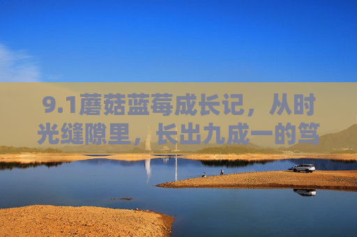 9.1蘑菇蓝莓成长记，从时光缝隙里，长出九成一的笃定，蘑菇蓝莓，时光缝隙里的九成笃定
