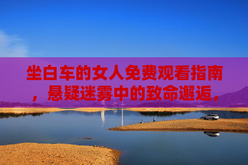 坐白车的女人免费观看指南，悬疑迷雾中的致命邂逅，附正版观看渠道，坐白车的女人，悬疑致命邂逅免费观看正版指南