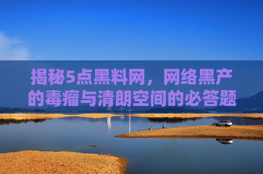 揭秘5点黑料网，网络黑产的毒瘤与清朗空间的必答题，5点黑料网，网络黑产毒瘤与清朗空间的必答题