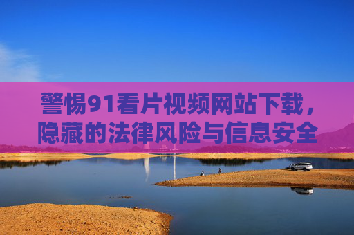 警惕91看片视频网站下载，隐藏的法律风险与信息安全陷阱，警惕91看片视频网站下载，法律风险与信息安全陷阱