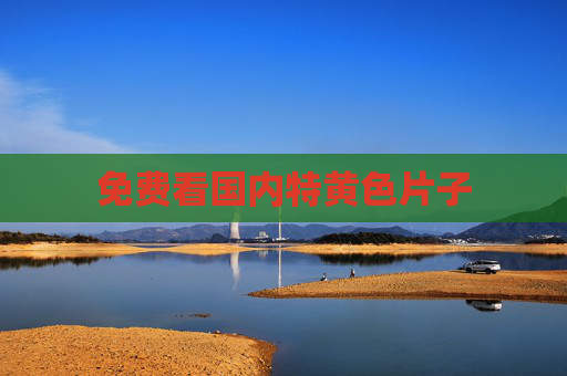 免费看国内特黄色片子