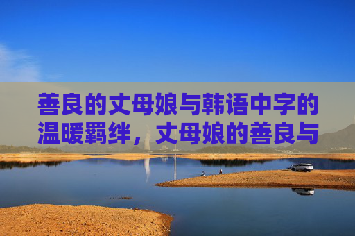 善良的丈母娘与韩语中字的温暖羁绊，丈母娘的善良与韩语中字的温暖羁绊