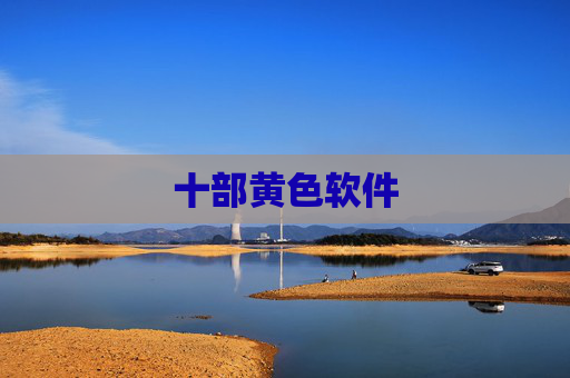 十部黄色软件