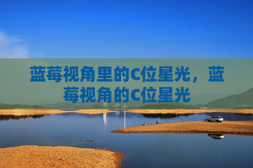 蓝莓视角里的C位星光，蓝莓视角的C位星光