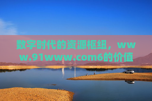 数字时代的资源枢纽，www.91www.com6的价值与探索，数字时代的资源枢纽，www.91www.com6的价值与探索