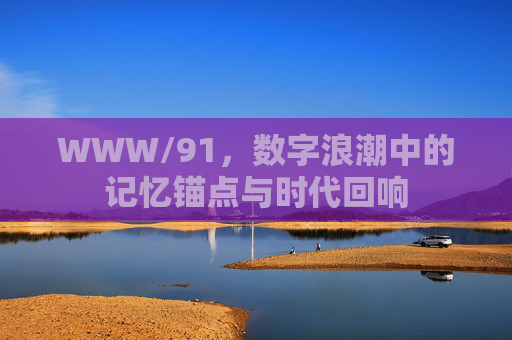 WWW/91，数字浪潮中的记忆锚点与时代回响