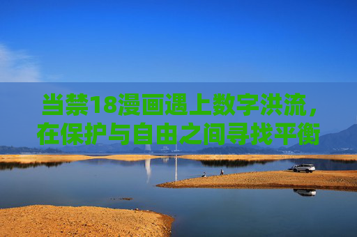 当禁18漫画遇上数字洪流，在保护与自由之间寻找平衡，禁漫与数字洪流，保护与自由的平衡