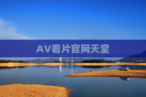 AV看片官网天堂