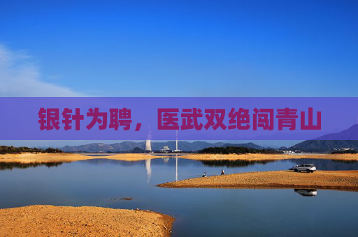 银针为聘，医武双绝闯青山