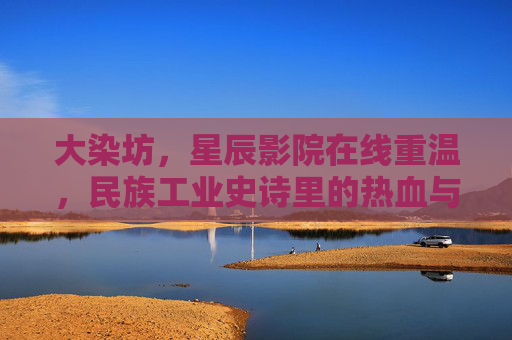 大染坊，星辰影院在线重温，民族工业史诗里的热血与坚守，大染坊，民族工业史诗的热血与坚守