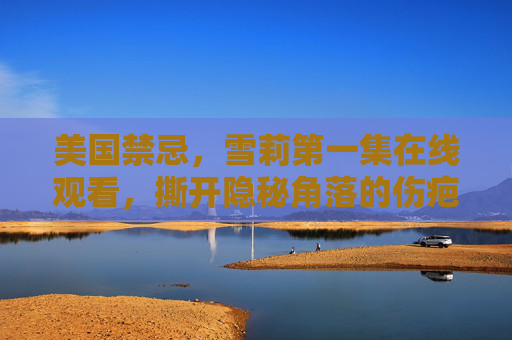美国禁忌，雪莉第一集在线观看，撕开隐秘角落的伤疤，雪莉第一集，撕开美国禁忌的隐秘伤疤