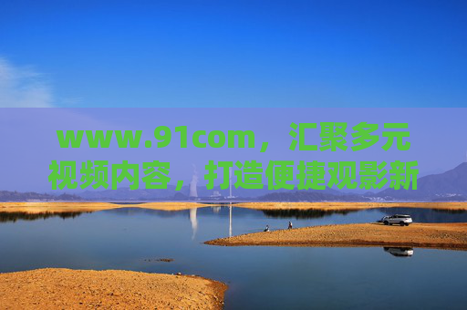 www.91com，汇聚多元视频内容，打造便捷观影新平台，91com，多元视频便捷观影新平台
