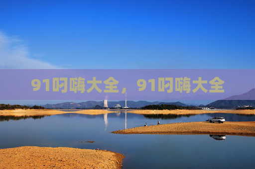 91叼嗨大全，91叼嗨大全