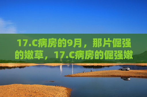 17.C病房的9月,那片倔强的嫩草,17.C病房的倔强嫩草 17.C病房的9月,那片倔强的嫩草,17.C病房的倔强嫩草