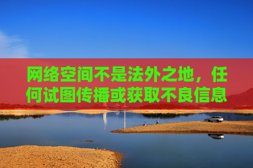 网络空间不是法外之地，任何试图传播或获取不良信息的行为都将受到法律的惩处。让我们共同维护清朗的网络环境，为营造健康、文明、和谐的社会氛围贡献力量，网络空间非法外之地，共护清朗文明网络