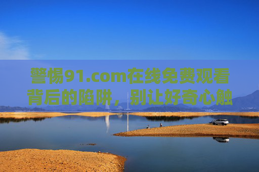 警惕91.com在线免费观看背后的陷阱，别让好奇心触碰法律与安全红线，警惕91.com在线免费观看，陷阱与法律安全红线
