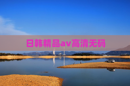 日韩精品av高清无码