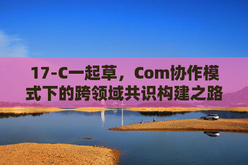 17-C一起草，Com协作模式下的跨领域共识构建之路，17-C一起草，Com协作模式下的跨领域共识构建之路