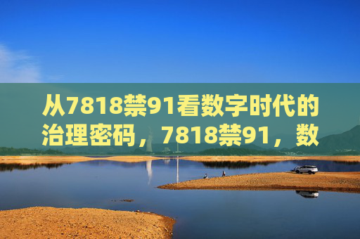 从7818禁91看数字时代的治理密码，7818禁91，数字时代的治理密码