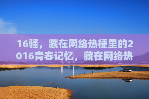 16骚，藏在网络热梗里的2016青春记忆，藏在网络热梗里的2016青春骚动记忆