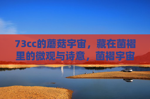 73cc的蘑菇宇宙，藏在菌褶里的微观与诗意，菌褶宇宙，73cc的微观诗意