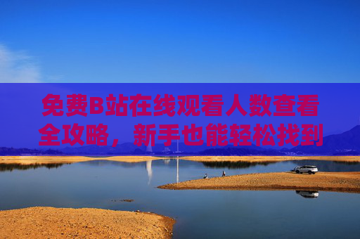 免费B站在线观看人数查看全攻略，新手也能轻松找到！免费攻略，新手轻松查看B站在线观看人数