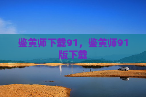鉴黄师下载91，鉴黄师91版下载