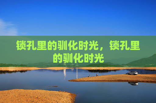 锁孔里的驯化时光，锁孔里的驯化时光