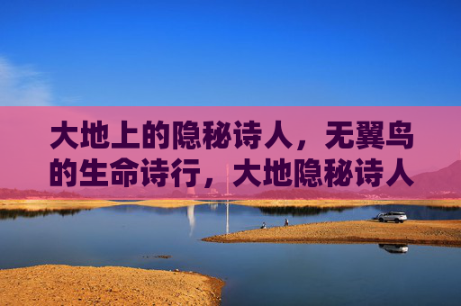 大地上的隐秘诗人,无翼鸟的生命诗行,大地隐秘诗人,无翼鸟生命诗行 大地上的隐秘诗人,无翼鸟的生命诗行,大地隐秘诗人,无翼鸟生命诗行