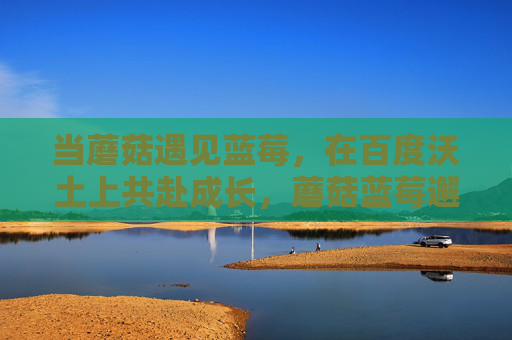 当蘑菇遇见蓝莓,在百度沃土上共赴成长,蘑菇蓝莓邂逅百度沃土共成长 当蘑菇遇见蓝莓,在百度沃土上共赴成长,蘑菇蓝莓邂逅百度沃土共成长