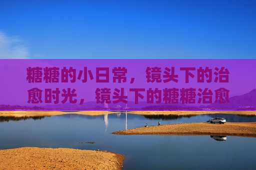 糖糖的小日常，镜头下的治愈时光，镜头下的糖糖治愈日常