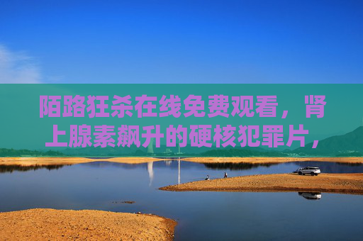 陌路狂杀在线免费观看，肾上腺素飙升的硬核犯罪片，错过即遗憾！陌路狂杀，肾上腺素飙升的硬核犯罪片，错过即遗憾！