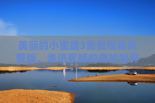 美丽的小蜜蜂3免费观看完整版，走进蜜蜂的奇妙世界，感受成长与温暖，美丽的小蜜蜂3，走进蜜蜂奇妙世界，感受成长温暖