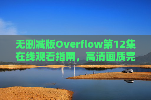 无删减版Overflow第12集在线观看指南，高清画质完整版，剧情高潮全解析，无删减版Overflow第12集在线观看指南，高清完整版剧情高潮全解析