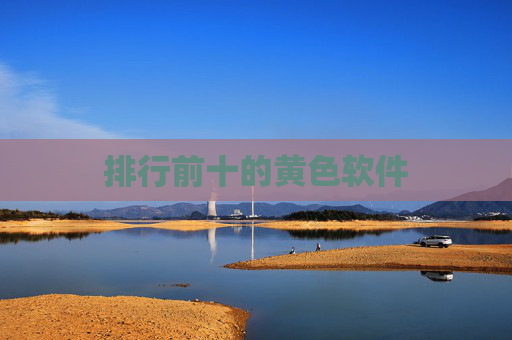 排行前十的黄色软件