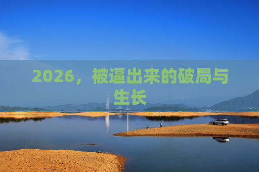 2026，被逼出来的破局与生长