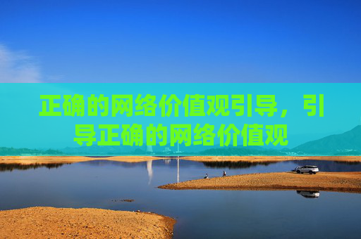 正确的网络价值观引导，引导正确的网络价值观
