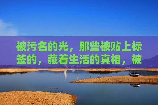 被污名的光,那些被贴上标签的,藏着生活的真相,被污名的光,标签下的生活真相 被污名的光,那些被贴上标签的,藏着生活的真相,被污名的光,标签下的生活真相