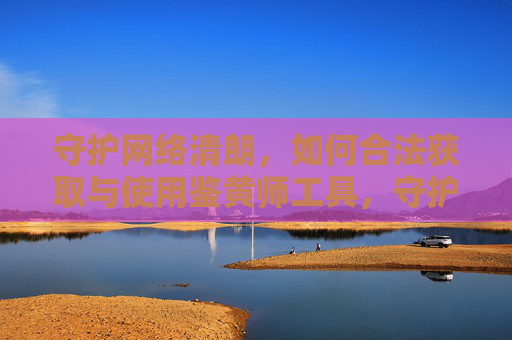 守护网络清朗，如何合法获取与使用鉴黄师工具，守护网络清朗，鉴黄师工具的合法获取与使用