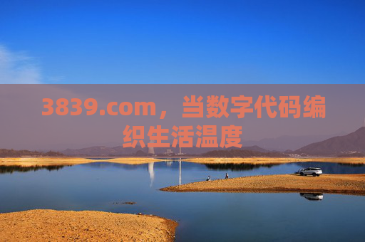 3839.com，当数字代码编织生活温度