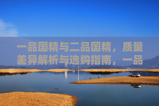 一品国精与二品国精，质量差异解析与选购指南，一品国精与二品国精，质量差异及选购指南