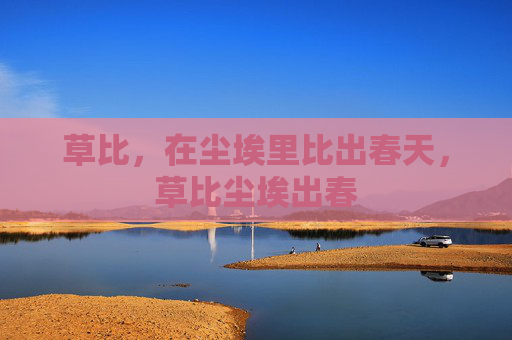 草比，在尘埃里比出春天，草比尘埃出春