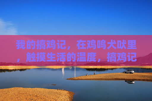 我的搞鸡记，在鸡鸣犬吠里，触摸生活的温度，搞鸡记，鸡鸣犬吠里的生活温度