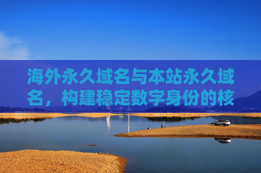海外永久域名与本站永久域名,构建稳定数字身份的核心基石,海外与本站永久域名,稳定数字身份的核心基石 海外永久域名与本站永久域名,构建稳定数字身份的核心基石,海外与本站永久域名,稳定数字身份的核心基石