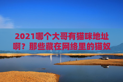2021哪个大哥有猫咪地址啊?那些藏在网络里的猫奴情报站,藏在网络里的猫奴情报站,2021猫咪地址 2021哪个大哥有猫咪地址啊?那些藏在网络里的猫奴情报站,藏在网络里的猫奴情报站,2021猫咪地址
