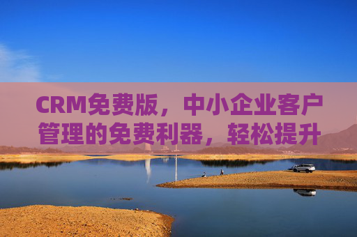 CRM免费版，中小企业客户管理的免费利器，轻松提升销售效率，中小企业免费CRM，客户管理与销售效率提升利器